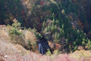 23.10.24kouyou1