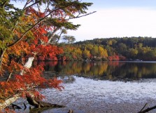 白駒池の紅葉