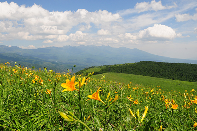 Bエリア：白樺高原～車山高原～霧ヶ峰