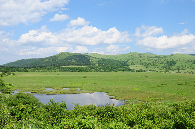 八島ヶ原湿原（標高1630m）